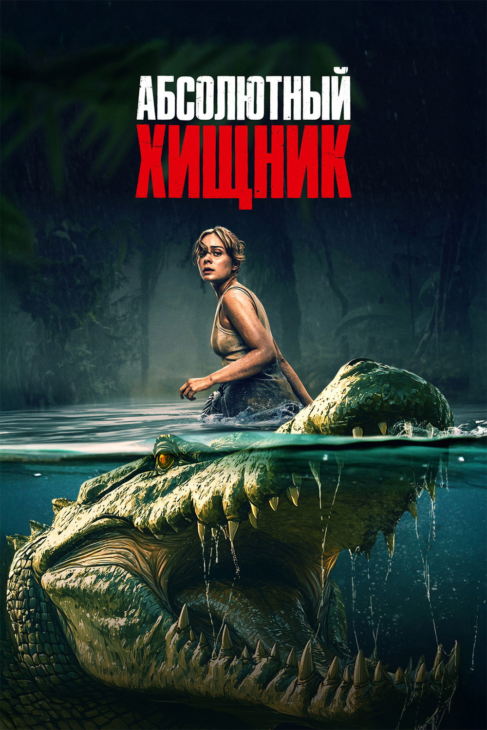 The Bayou