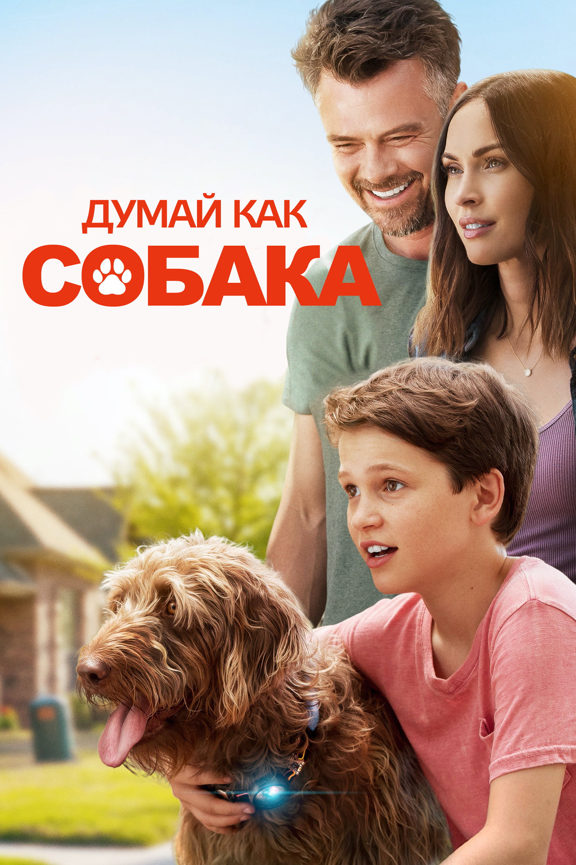 Think Like a Dog