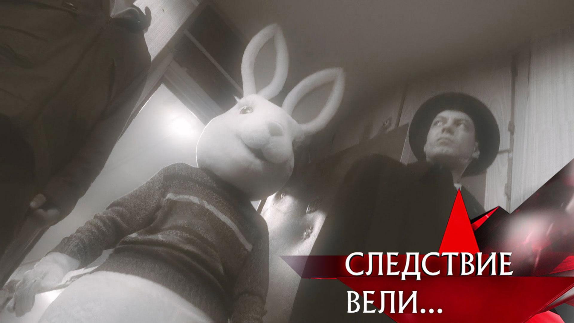 Миллионы для кролика