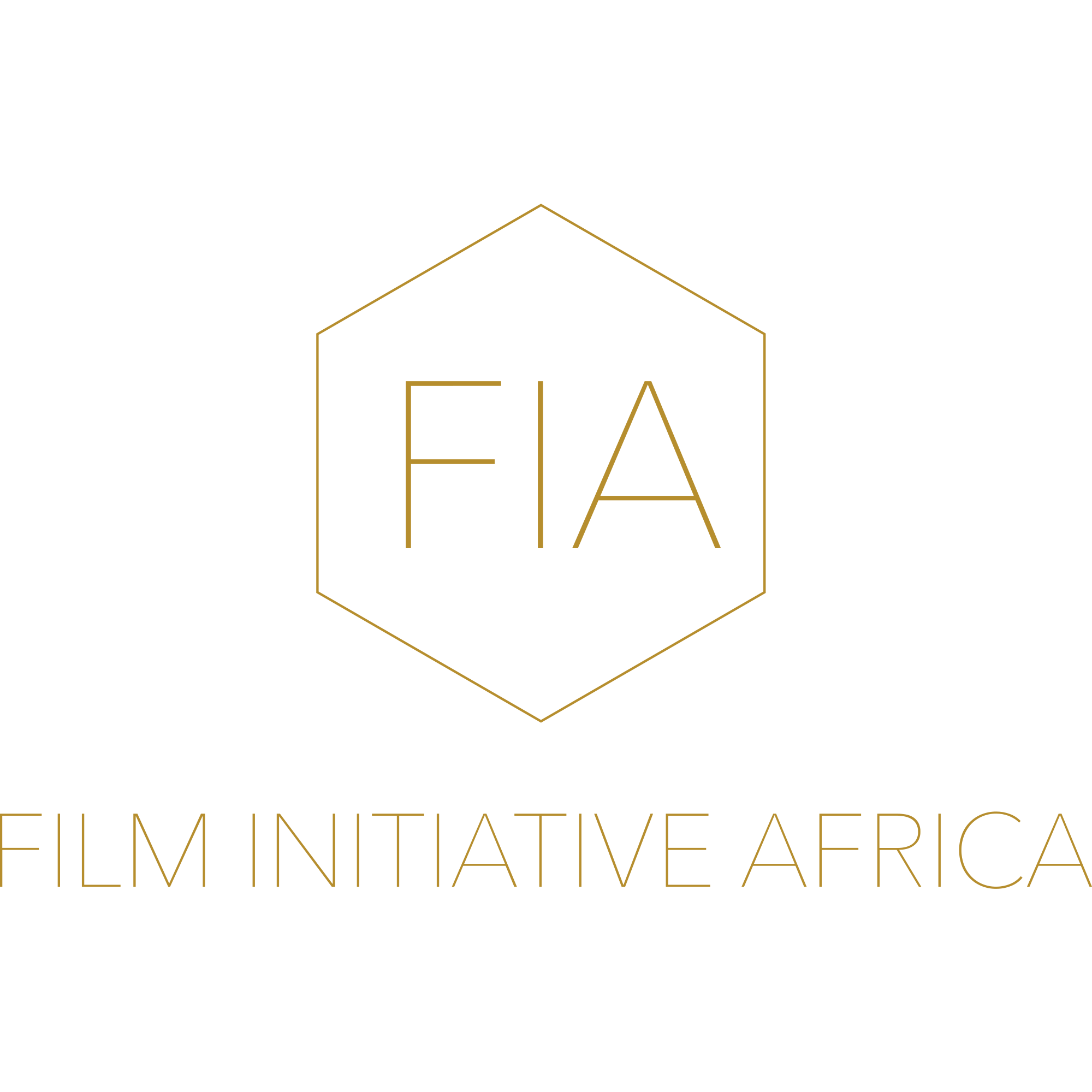 Film Initiative Africa