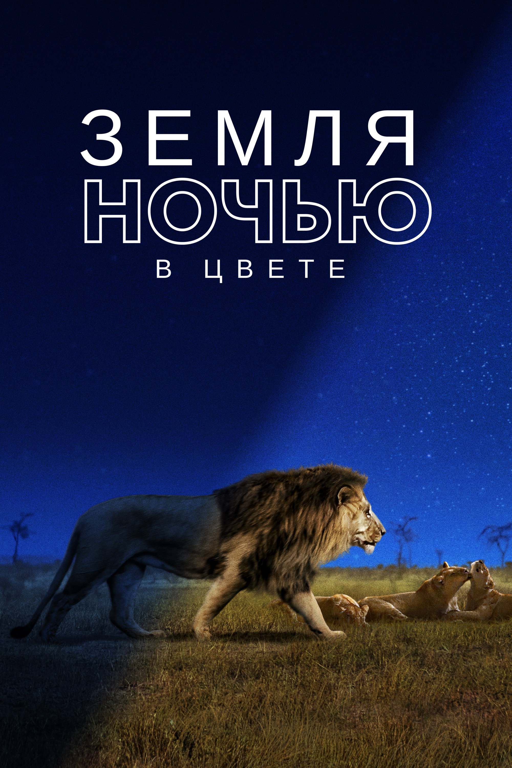Сезон 1