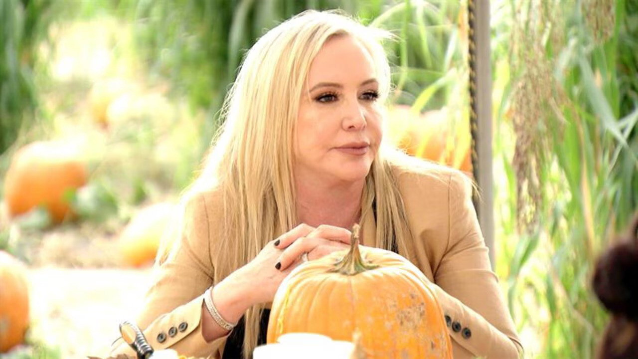 Pumpkins & Paparazzi