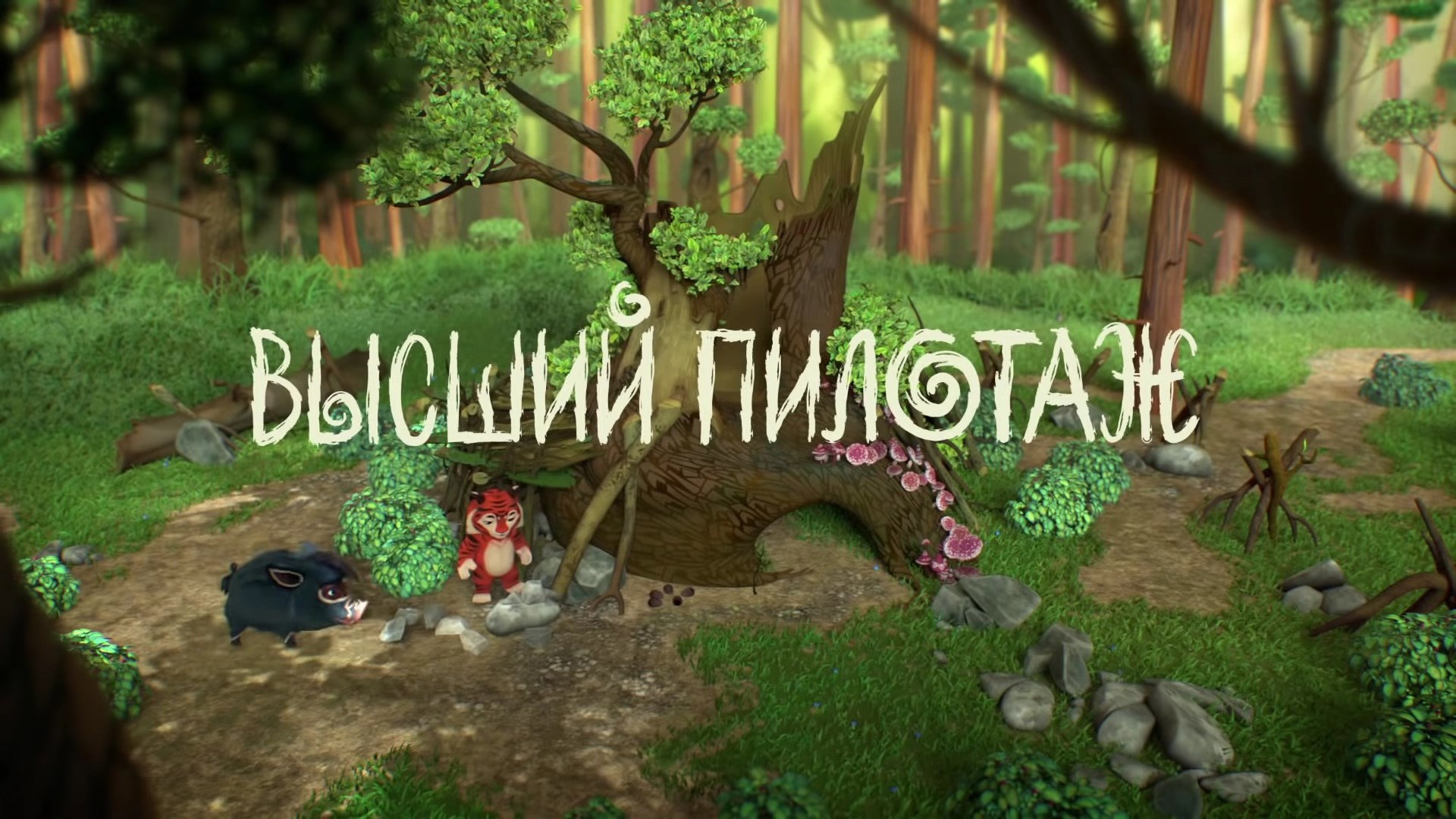 Высший пилотаж