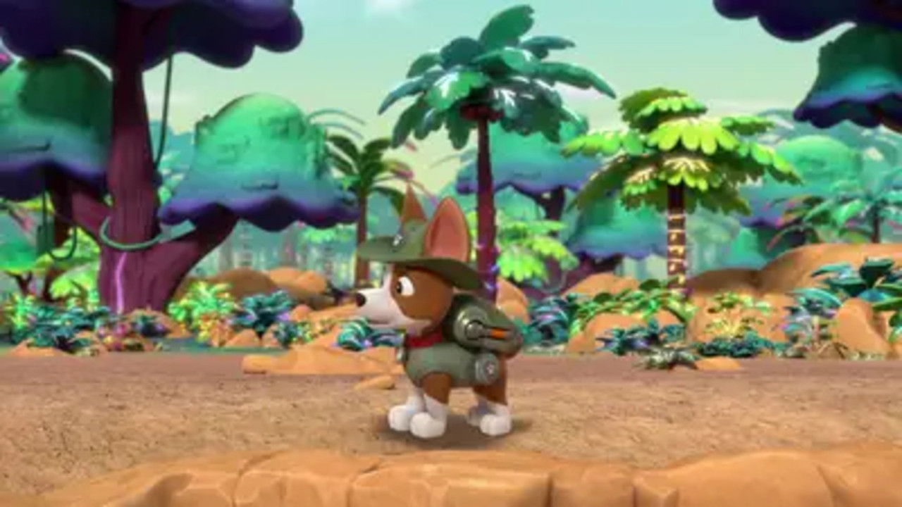 Jungle Pups: Pups Find a Hidden Jungle