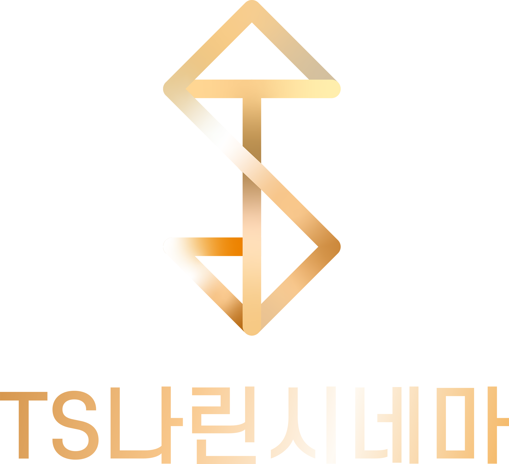 T.S Narincinema