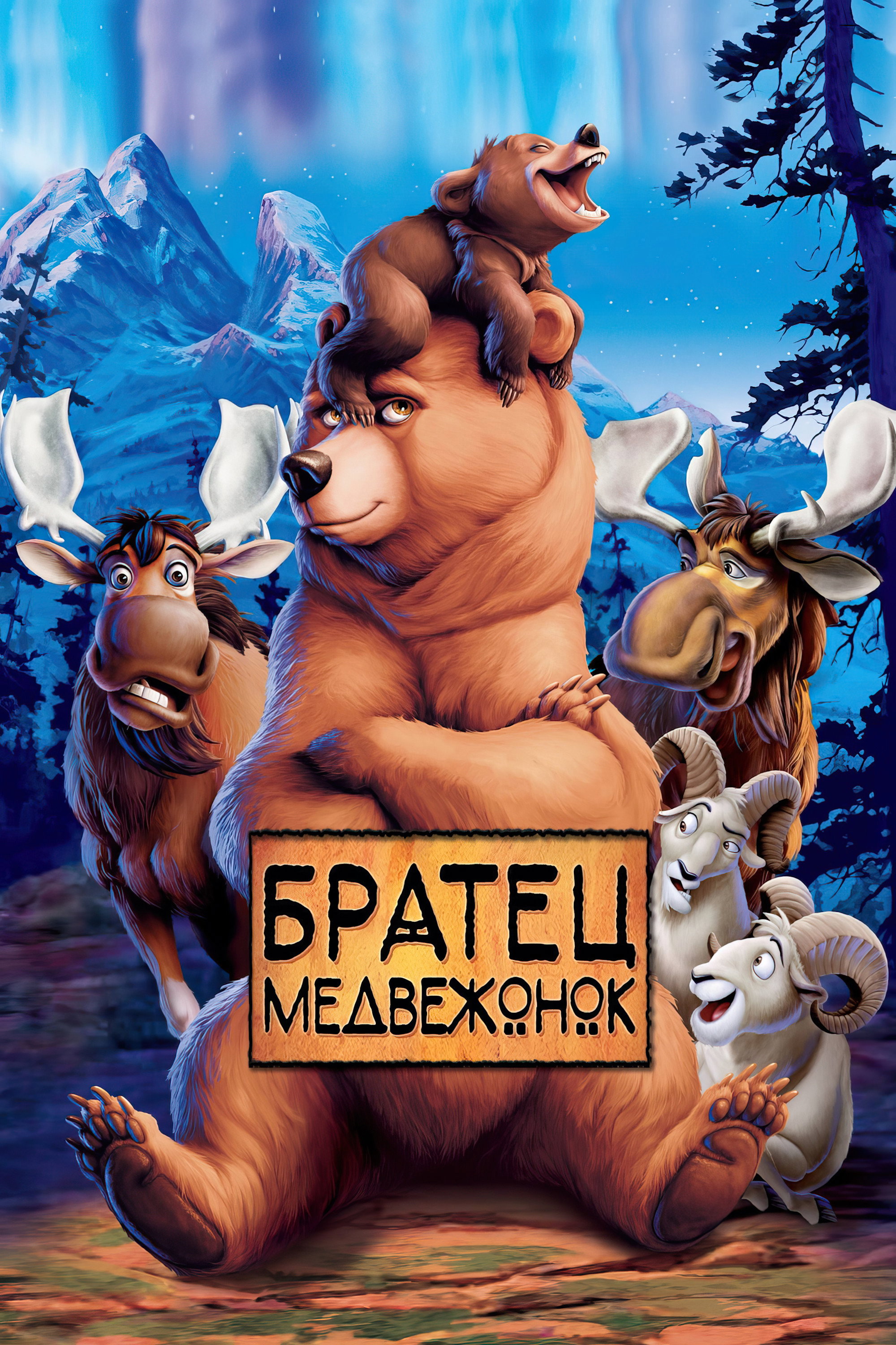 Братец медвежонок