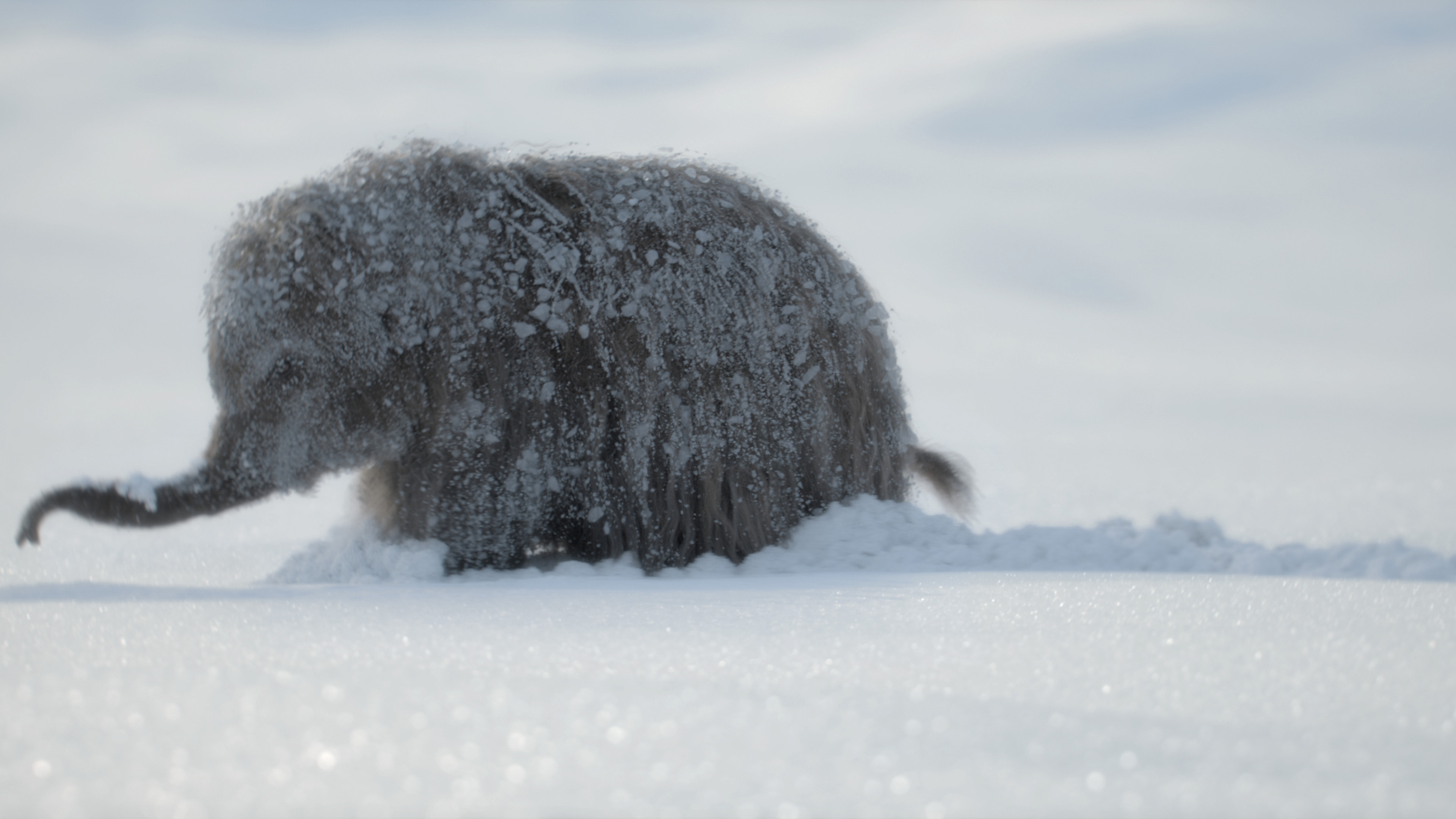 The Big Freeze