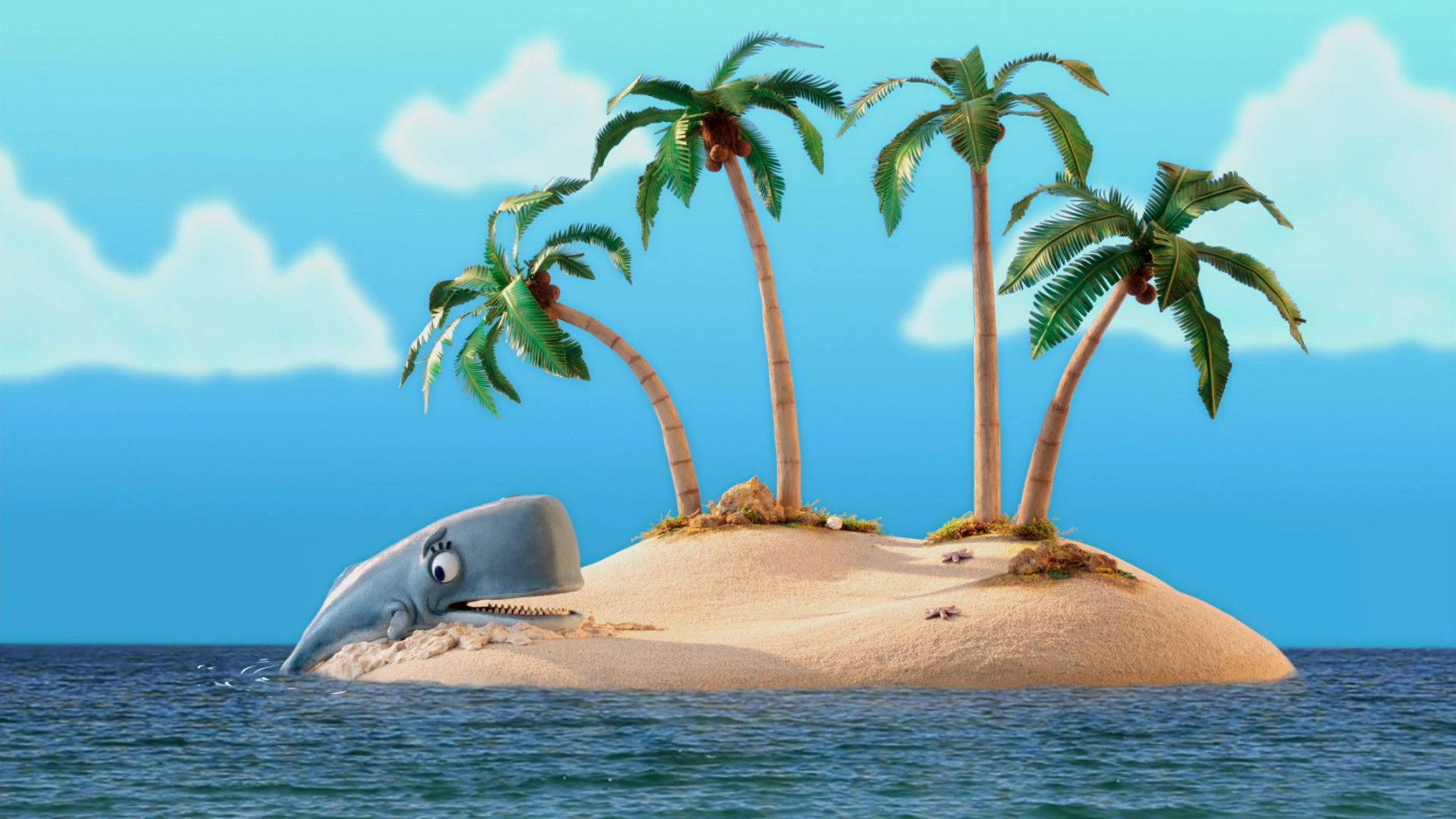 Whale Watching