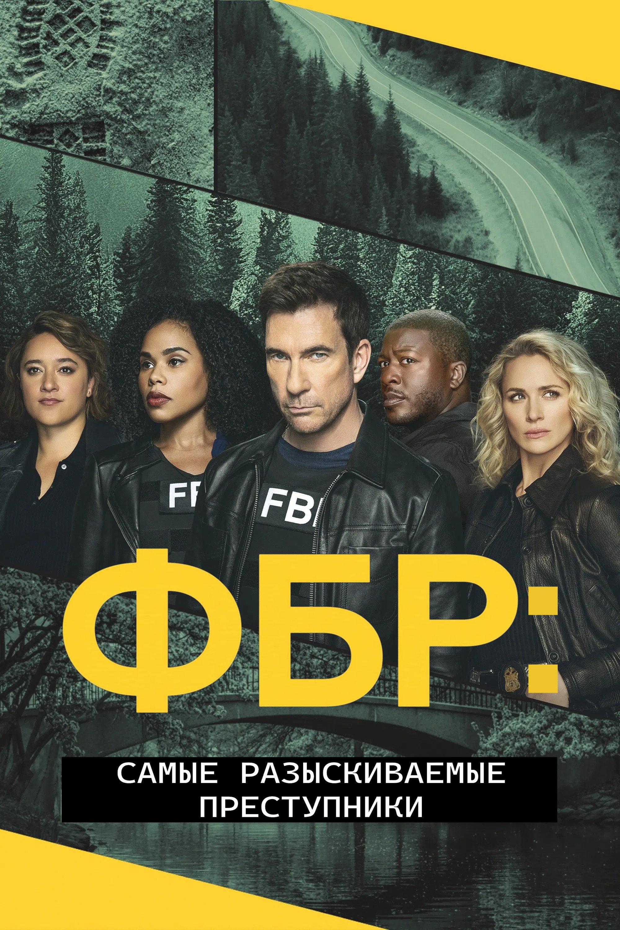 Season 6