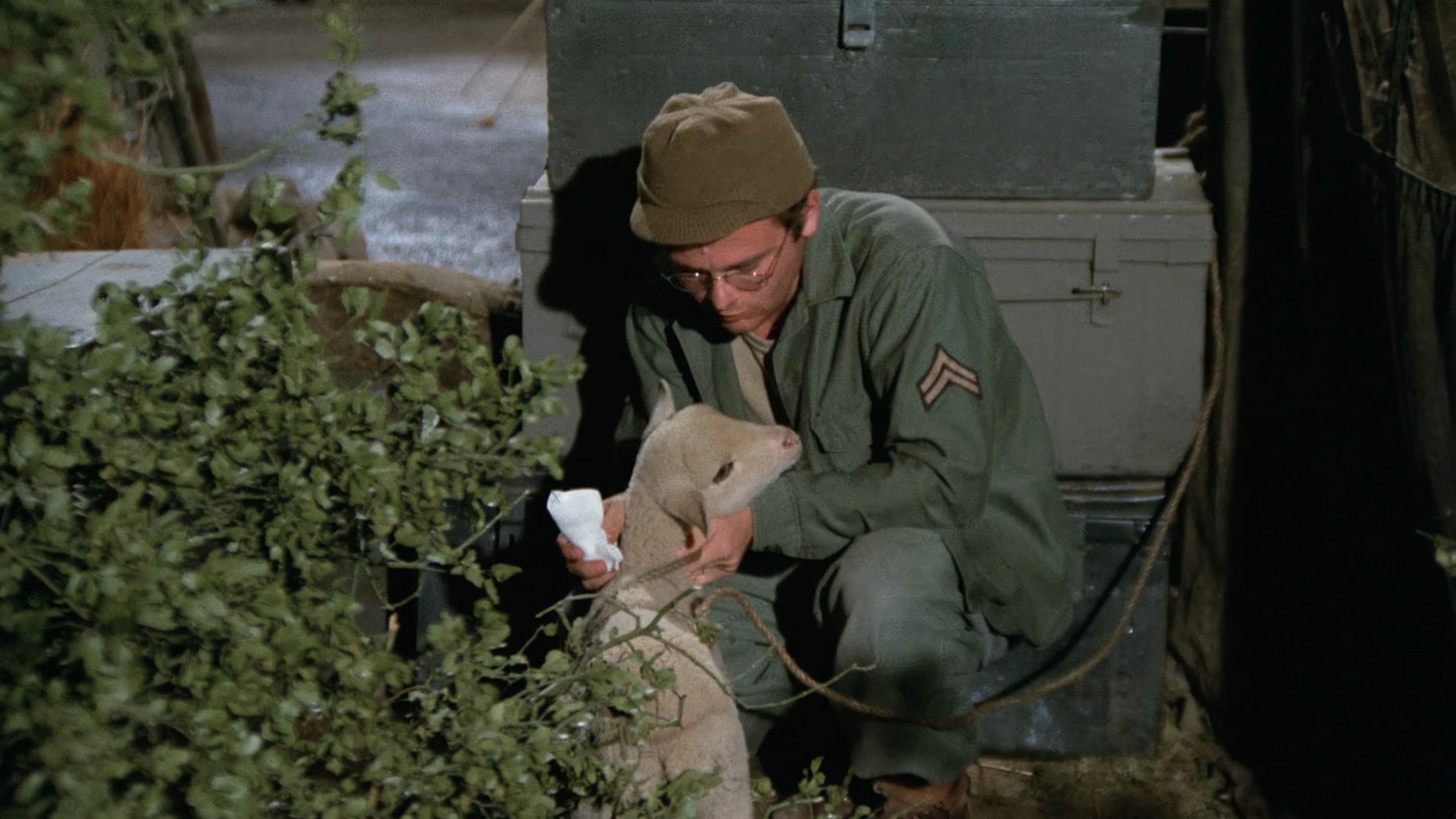 Private Charles Lamb