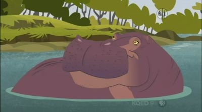 Race for the Hippo Disc