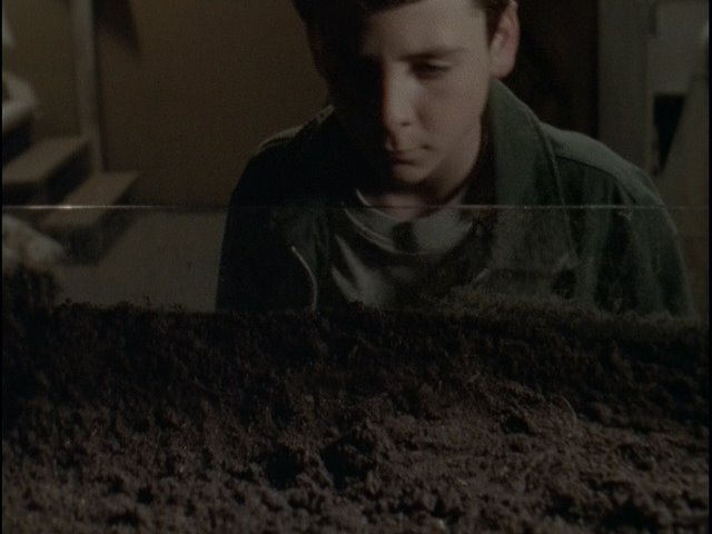 Go Eat Worms