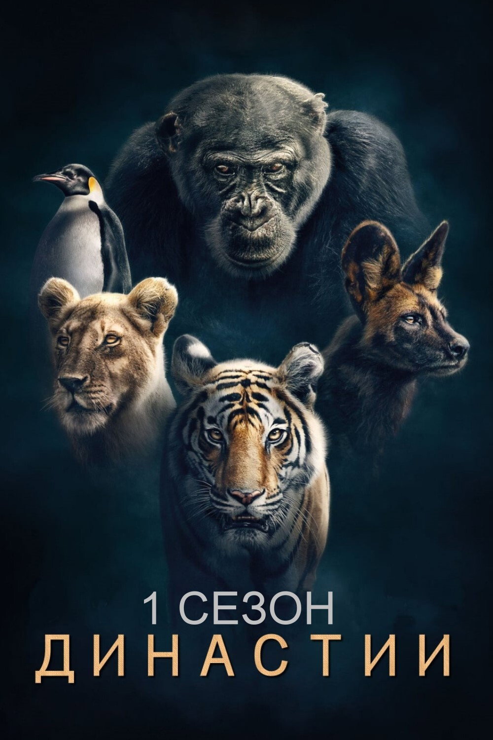 Сезон 1
