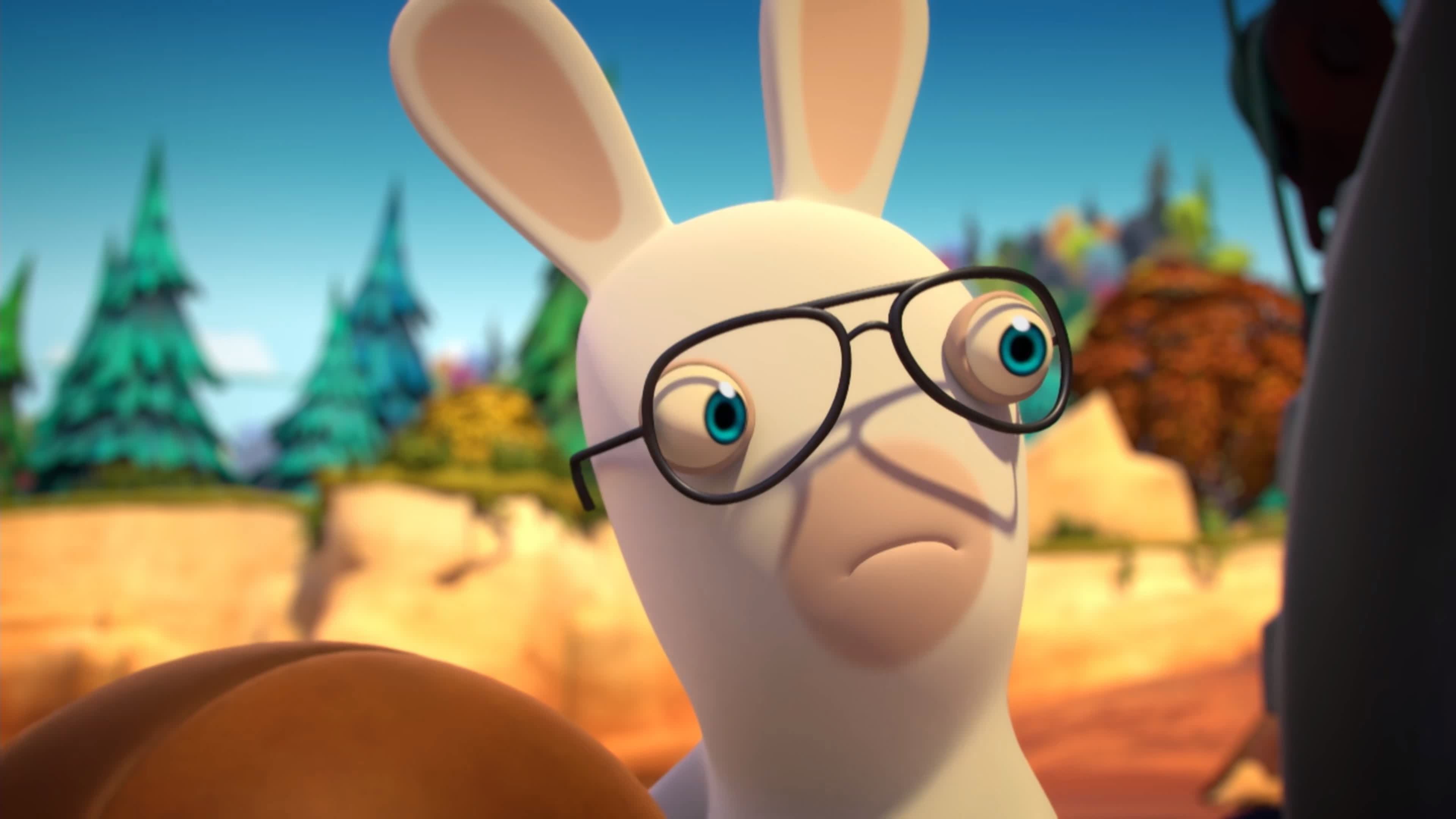Rabbid Fetch