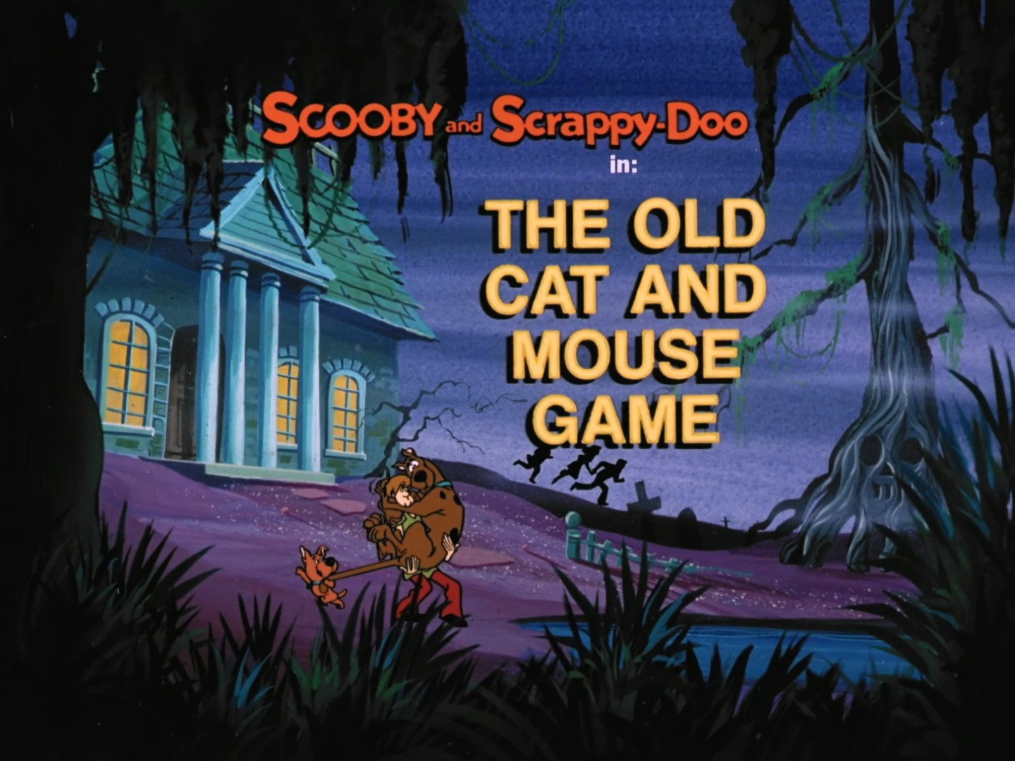 The Old Cat and Mouse Game