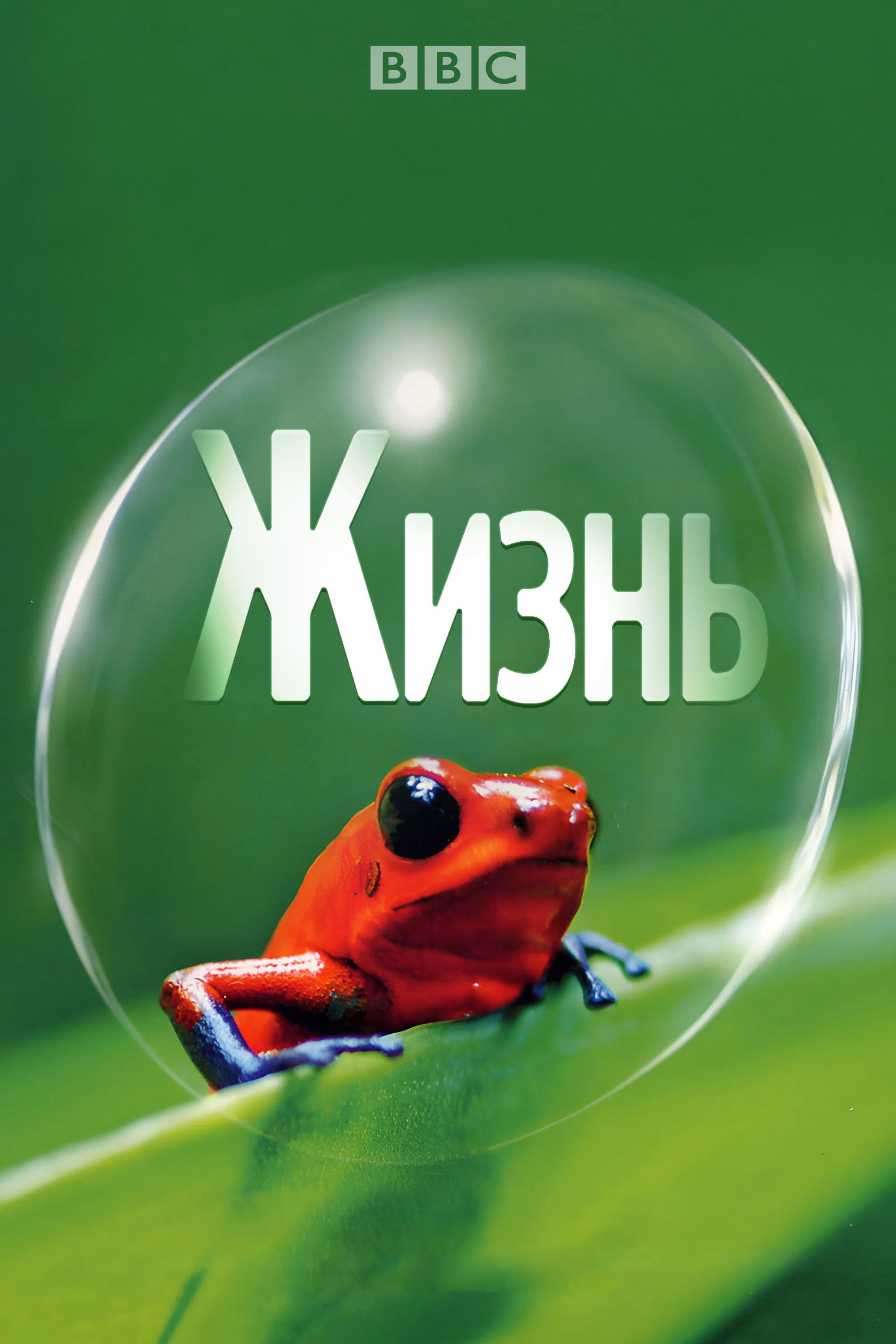Жизнь