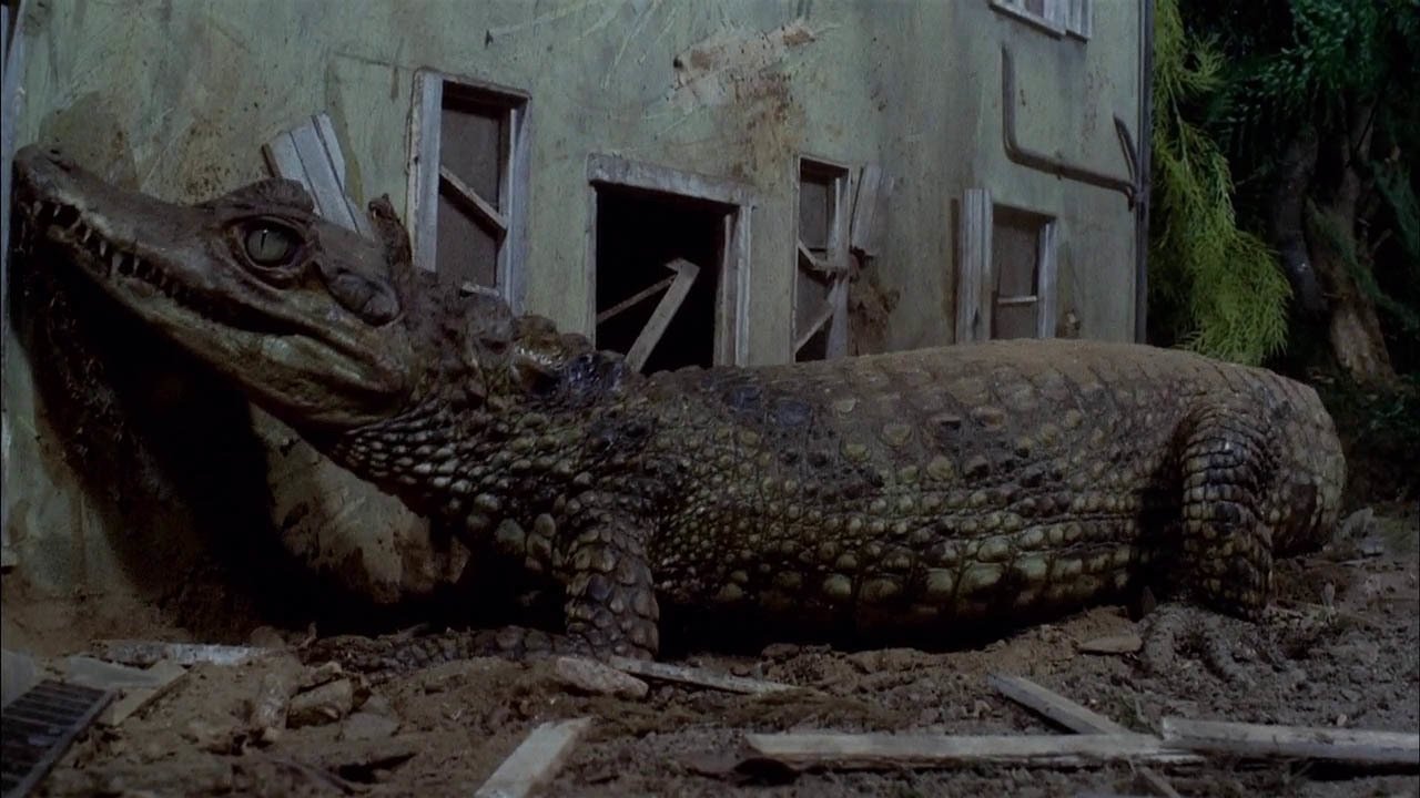 Attack of the Alligators!