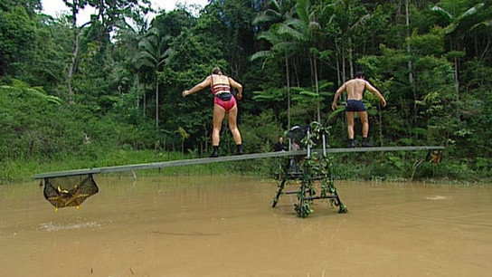 Celebrity Seesaw