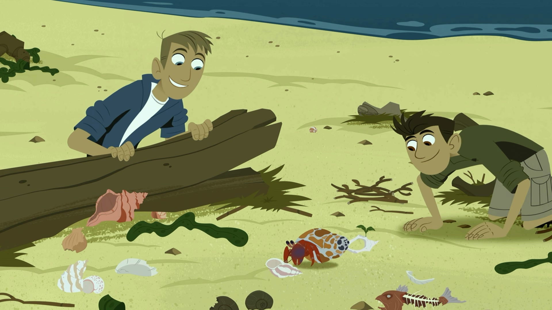 Hermit Crab Shell Exchange