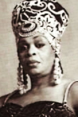 Avis Pendavis
