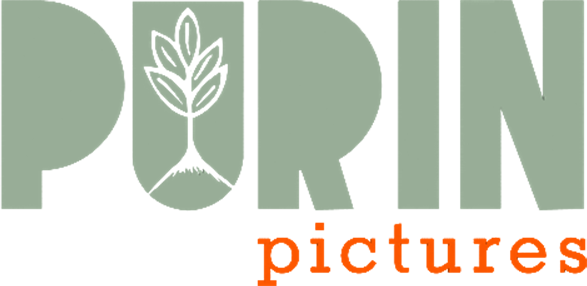 Purin Pictures