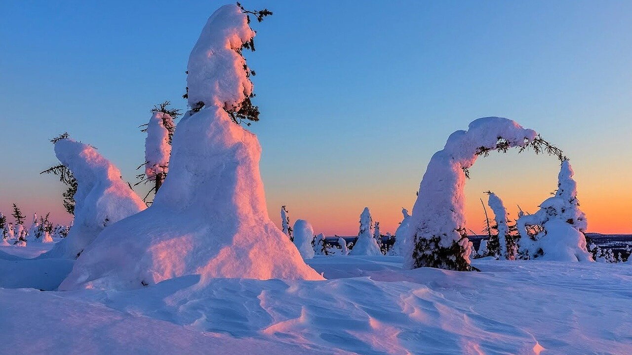 Полярный день