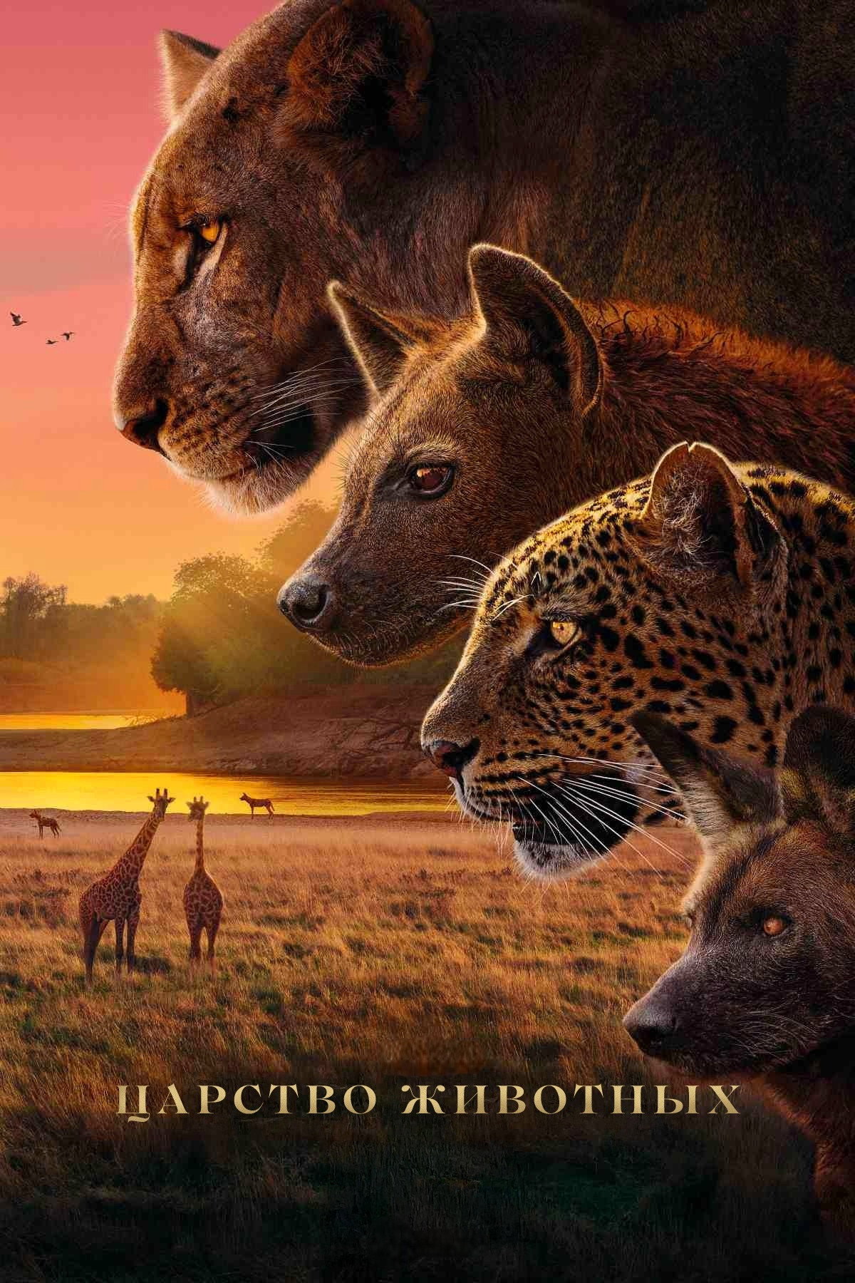 Королевство