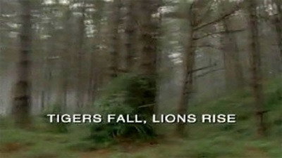 Tigers Fall, Lions Rise