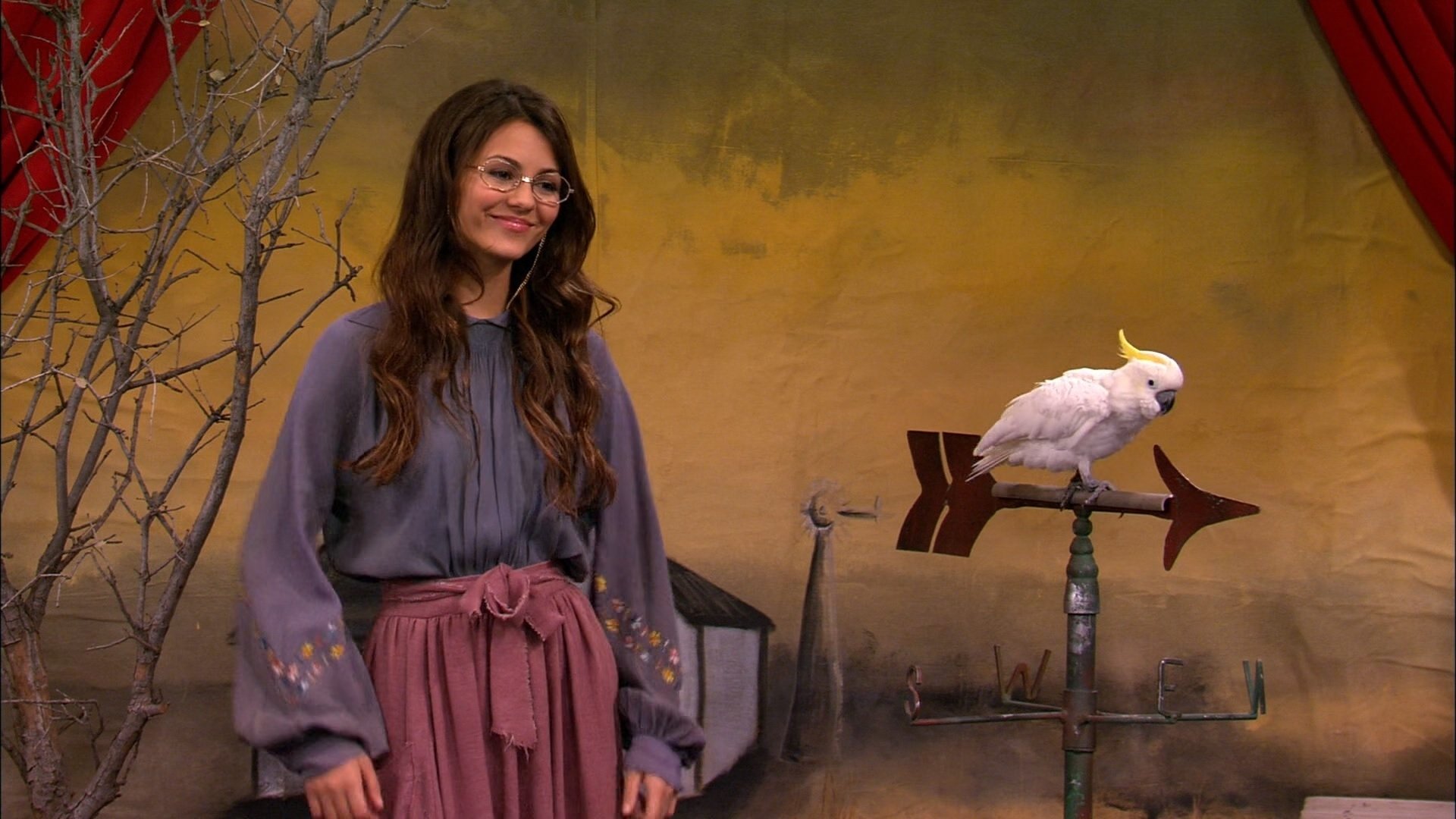 The Bird Scene