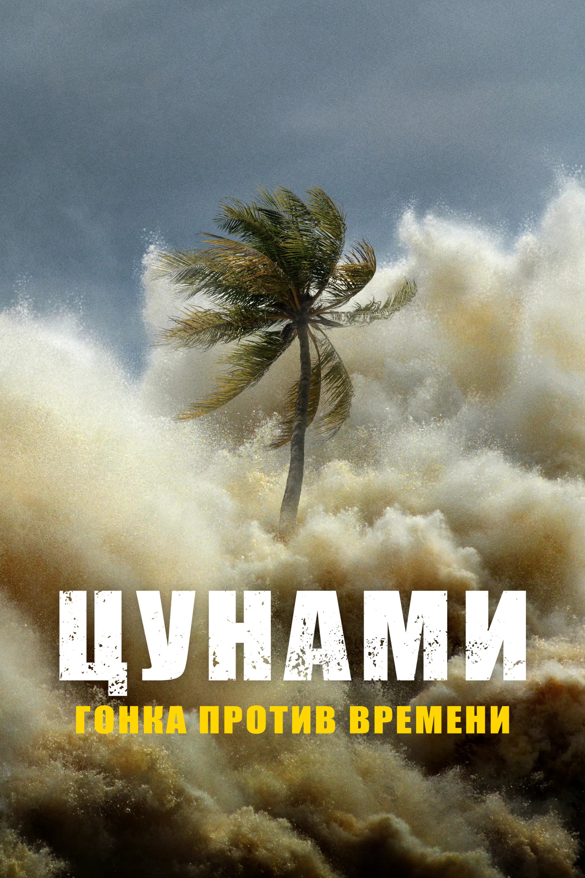 Цунами: наперегонки со временем
