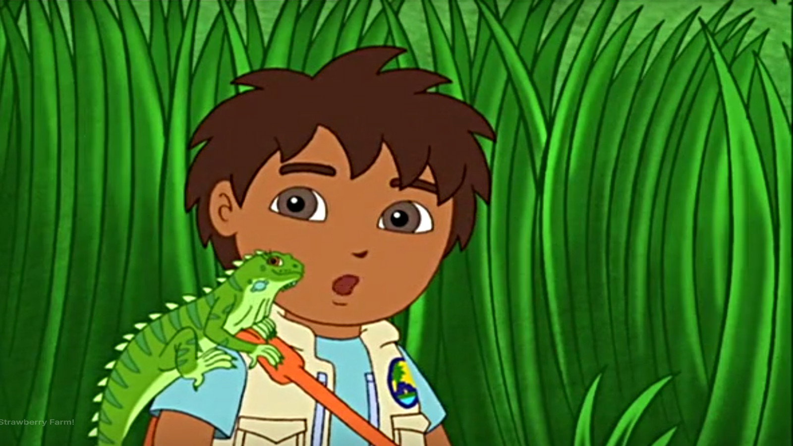 The Iguana Sing Along