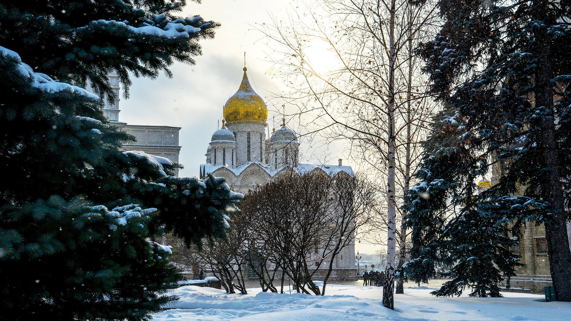 Эпизод 14