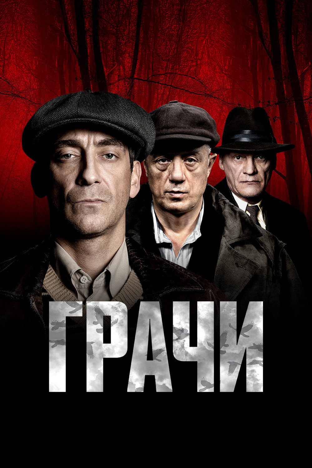Грачи