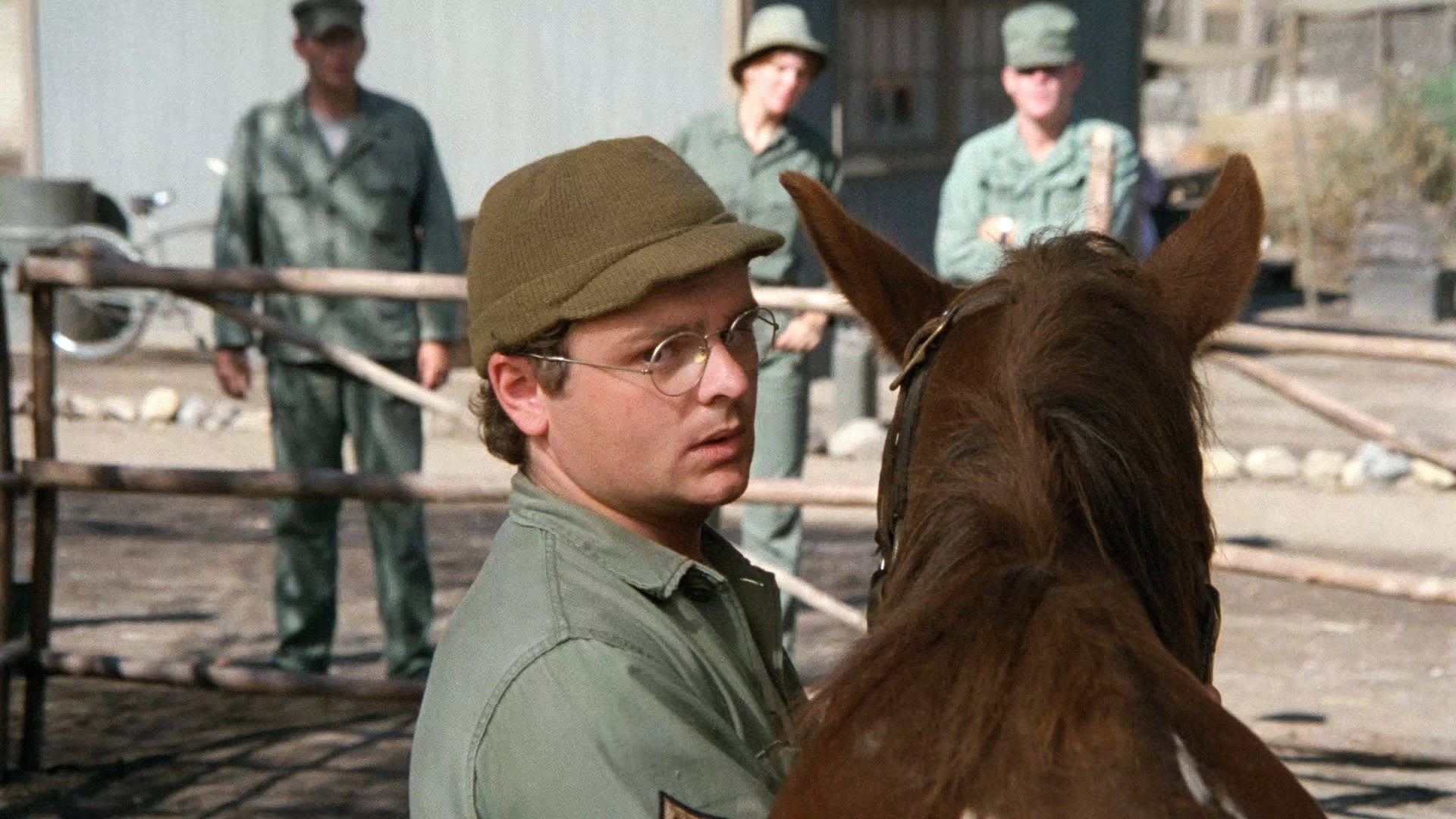 The Colonel's Horse