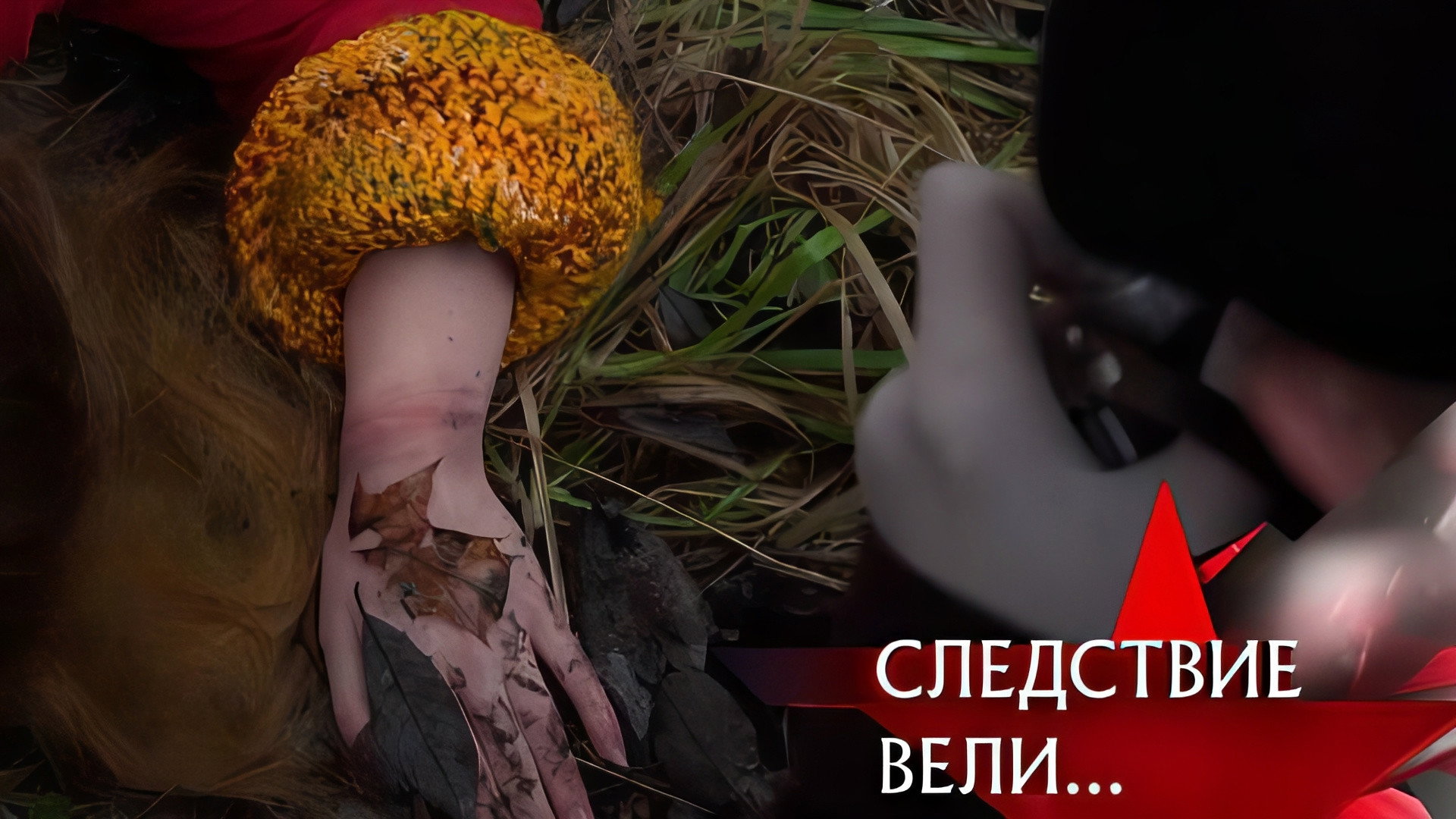 Оборотень Невского лесопарка. Современная версия