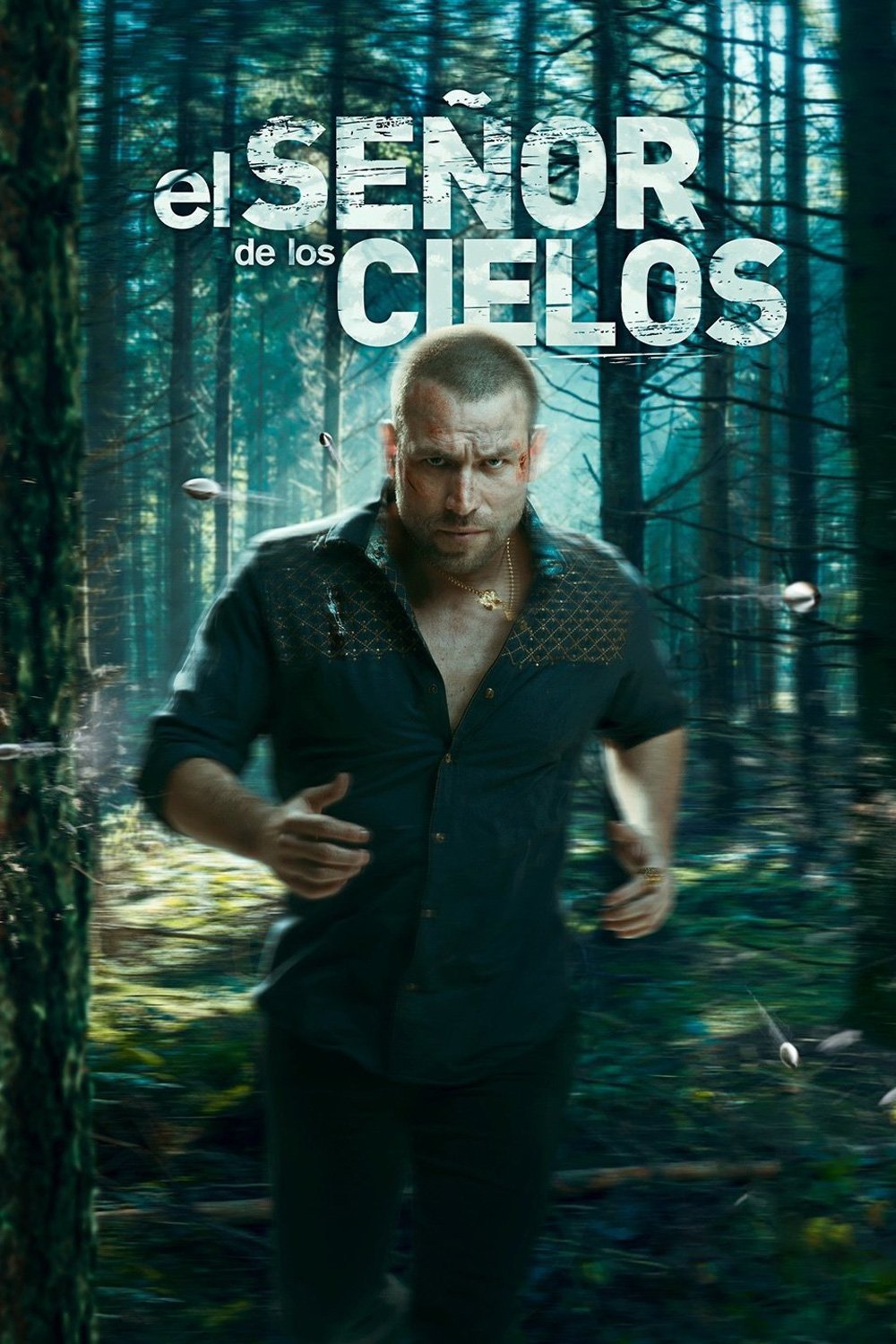 Сезон 6