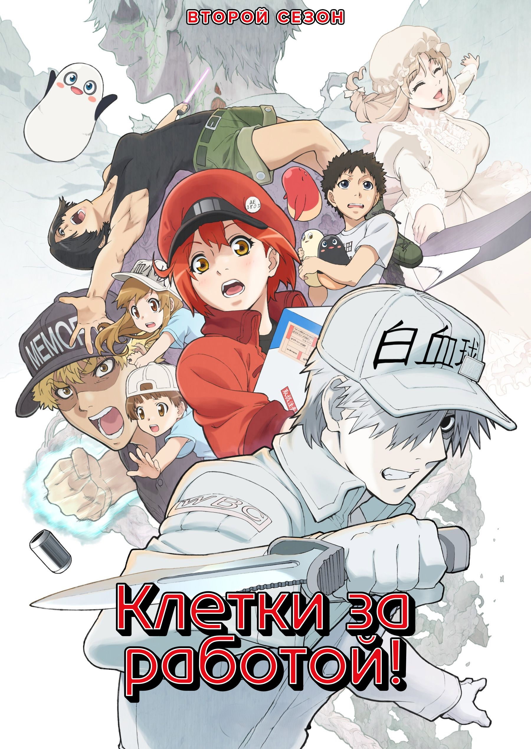 Cells at Work!