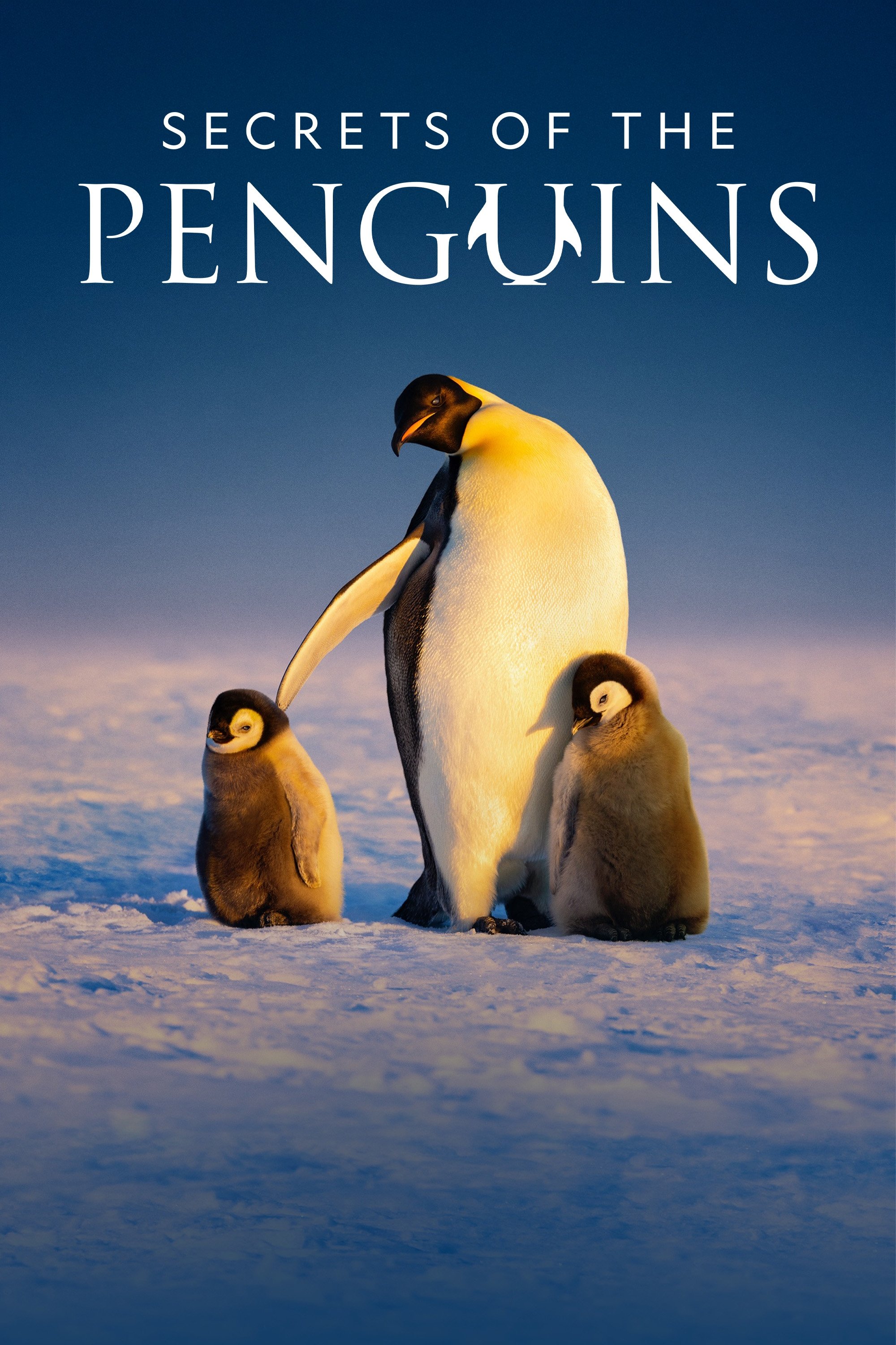 Сезон 1