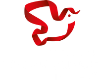 Svobodnoe Kino