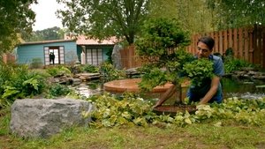 Снова в черном