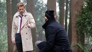 Будет выводок