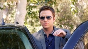 День Сета Грина
