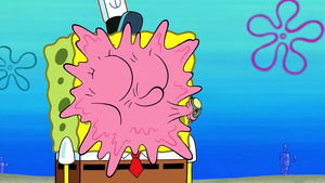 A Taste of Plankton