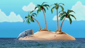 Whale Watching