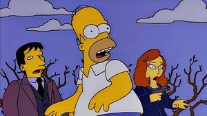 Спрингфилдские материалы