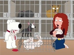 Чернореальная любовь