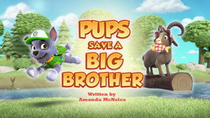 Pups Save a Big Brother