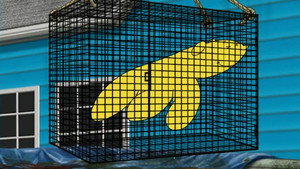 Handbanana