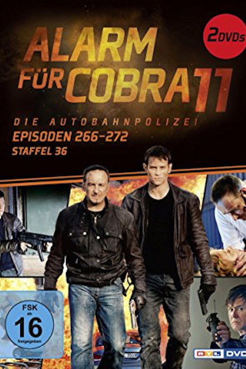 Season 36