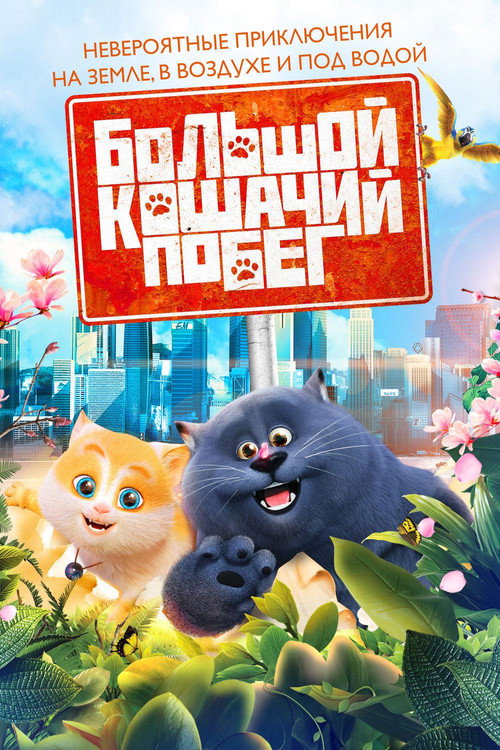 Cats